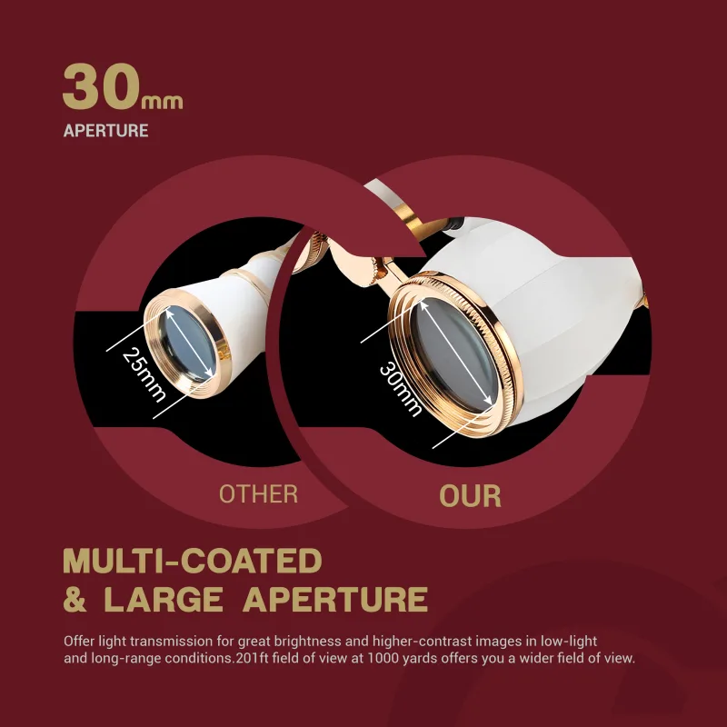Opera Glasses Binoculars for Women Adults 4X30mm Theater Glasses Compact Binoculars for Theater and Concerts Antique Bin image 2
