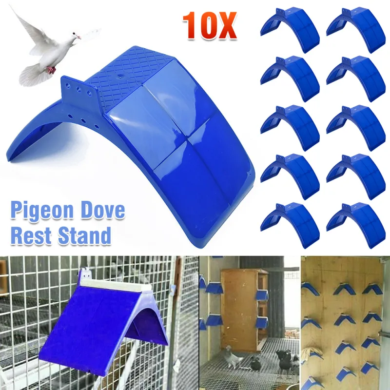 Bird Rest Stand Frame Perch image 1