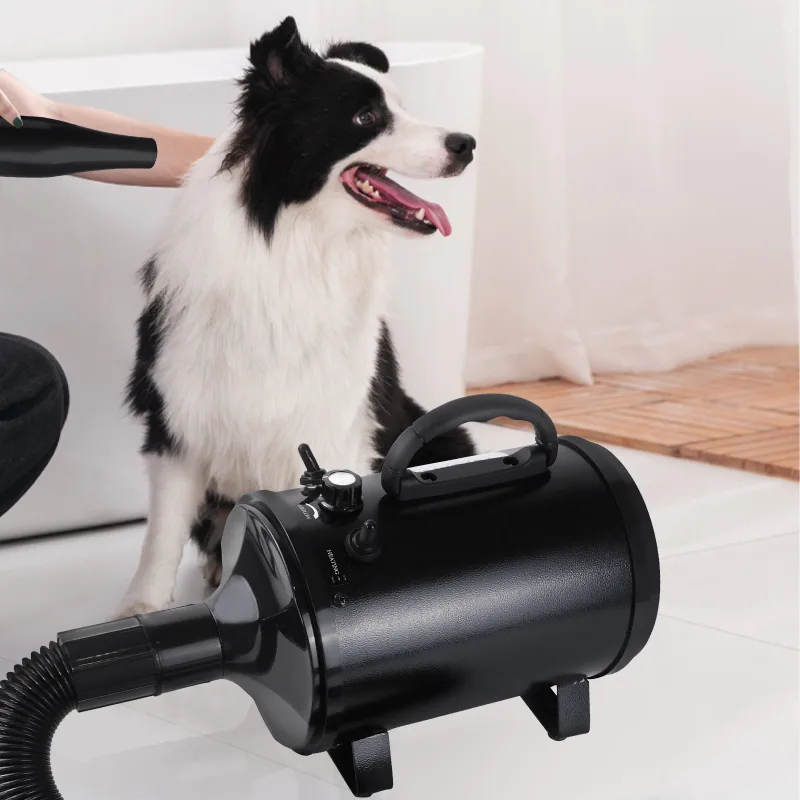 VickyHome 2000W Pet Hair Dryer 35°C-65°C image 5