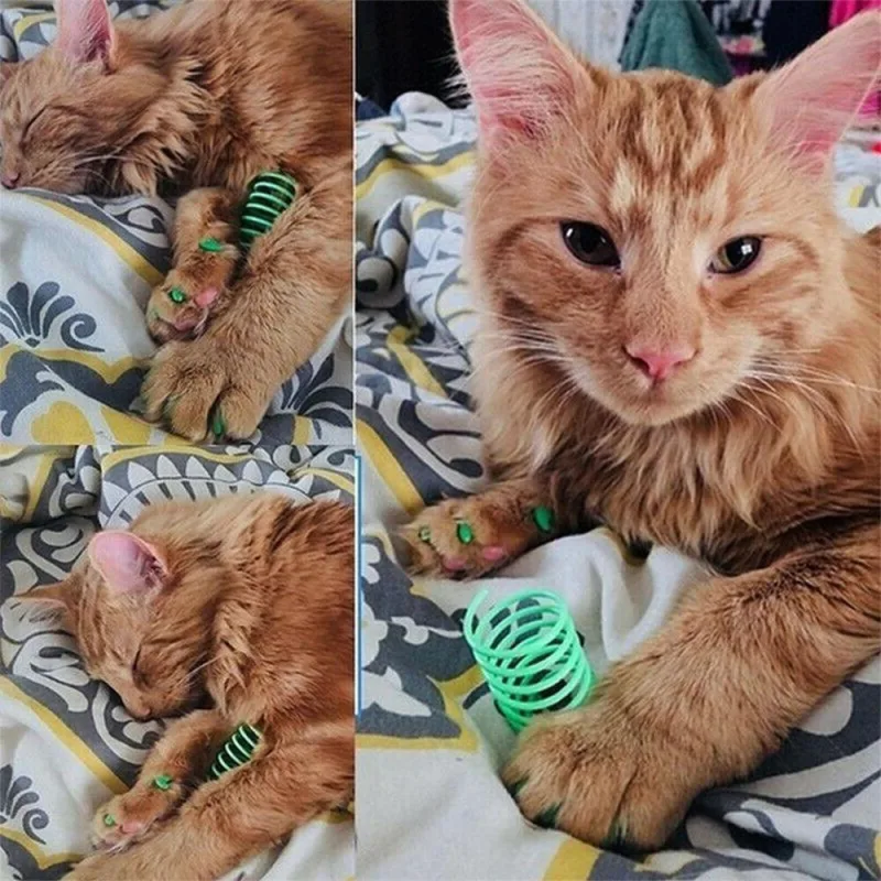Interactive Cat Spring Toy image 3
