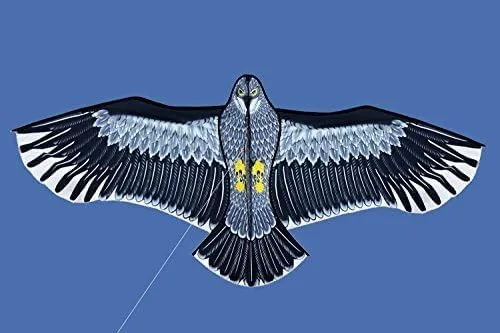 New  Outdoor Fun Sports Huge 71Inch Eagle Kite With Handle Line Novelty Toy Kites For Adult /Kids Large Good Flying image 2