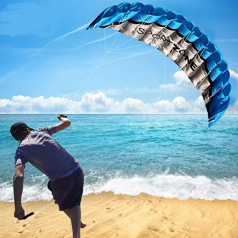 4-Colour Dual-Line Parafoil Kite image 2