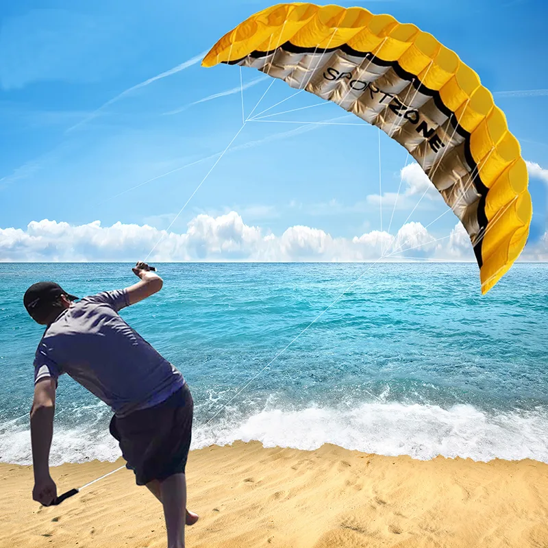 4-Colour Dual-Line Parafoil Kite image 3