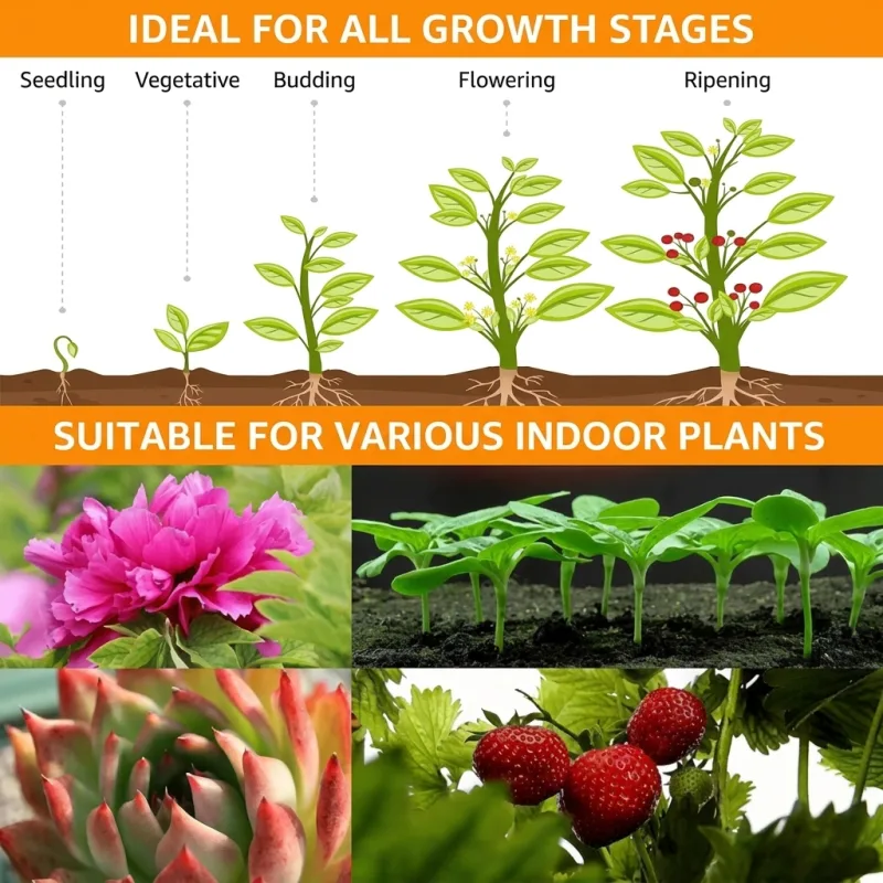 Full Spectrum Indoor Solar LED Growth Light 4 Gear Dimming Fleshy Flower Floor Telescopic Fill Light for Plants image 5