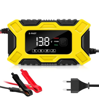 12V Intelligent Pulse Car and Motorcycle Battery Charger