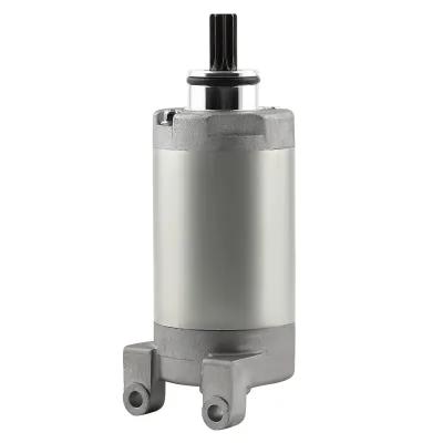 Starter Motor for Yamaha YFM25R 250 250SE Raptor250 XT250 ATV 2008-2013