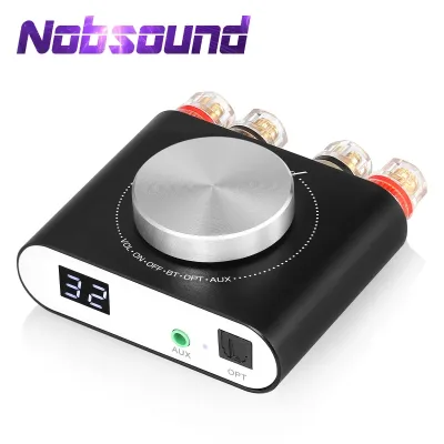 Douk Audio Q10 Mini 100W Class D Amp image 1