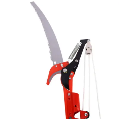 2-in-1 Extendable Tree Pruner and Saw for High Branches