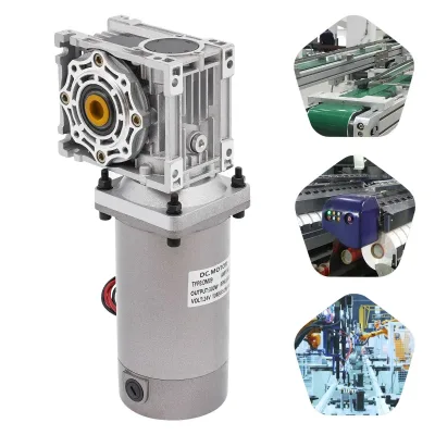 300W 24V Worm Gear Motor with Reducer 1800RPM Self-Locking