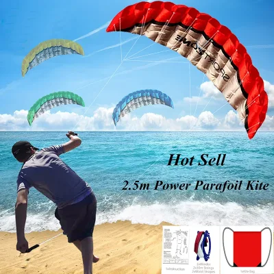 4-Colour Dual-Line Parafoil Kite image 1