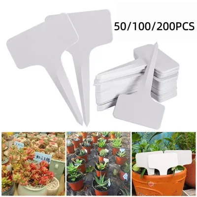 50/100/200pcs White Plastic PVC Plant Tags T Type Marker Nursery Garden Label Seedling Tray Pots Decoration Garden Label image 1
